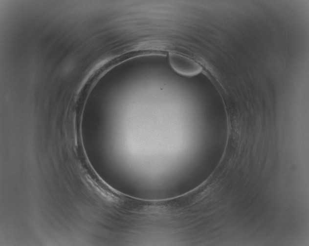 X0000051921123200506241502
