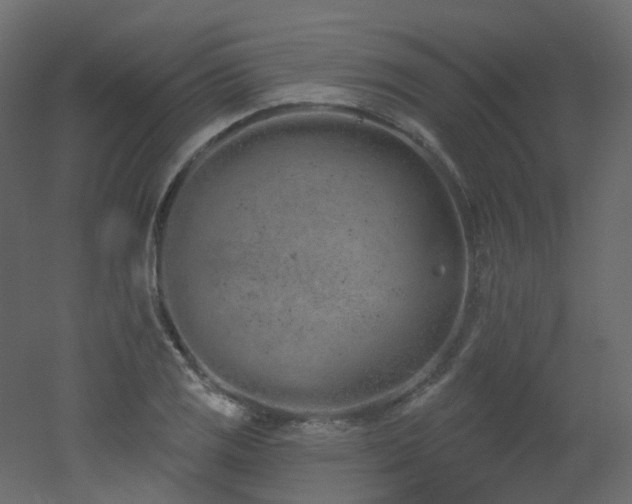 X0000051921125200506241502
