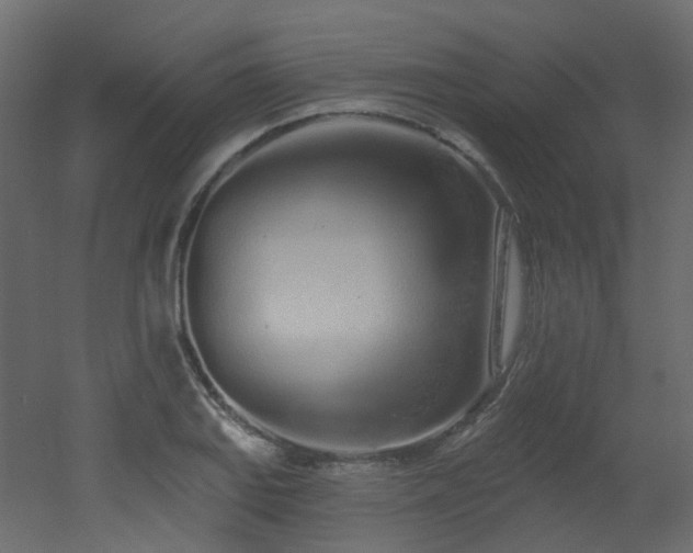 X0000051921127200506241502