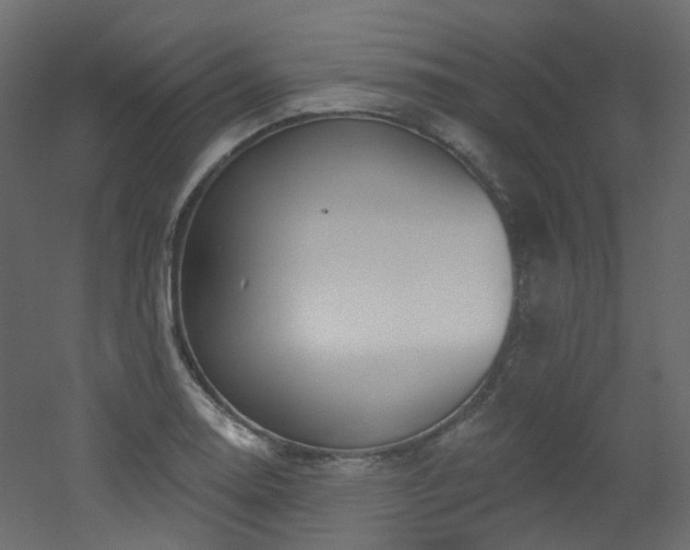 X0000051921130200506241502