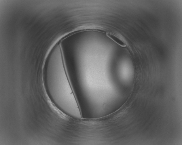 X0000051921132200506241502