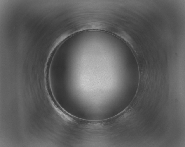 X0000051921135200506241502