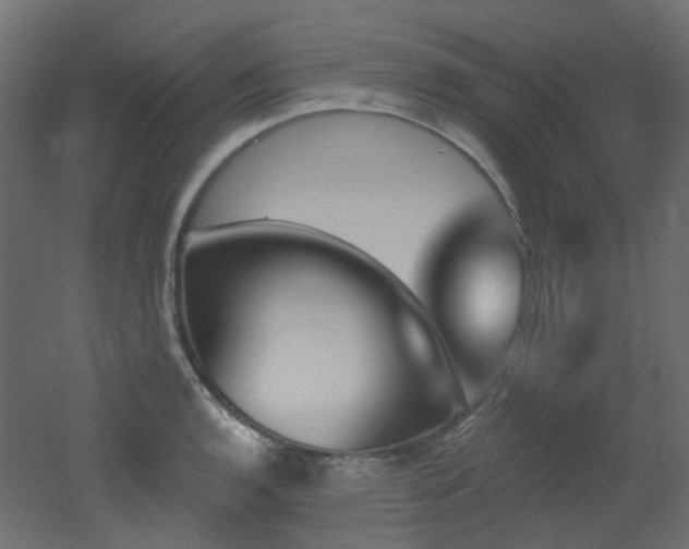 X0000051921136200506241502