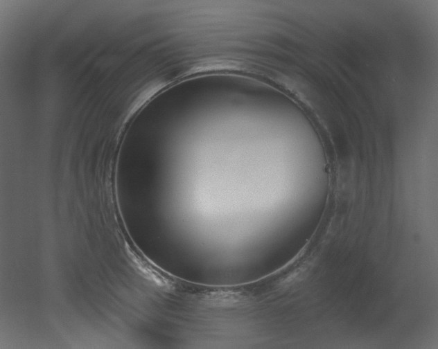 X0000051921137200506241502