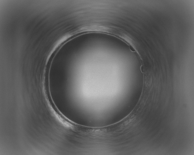 X0000051921139200506241502