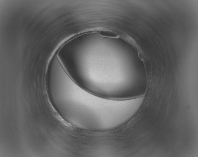 X0000051921140200506241502