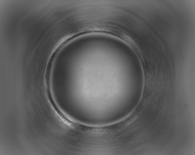 X0000051921141200506241502