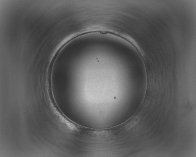 X0000051921142200506241502
