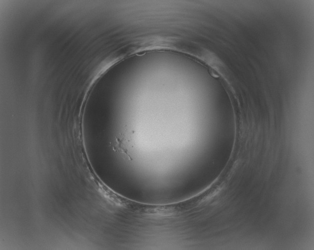 X0000051921145200506241502