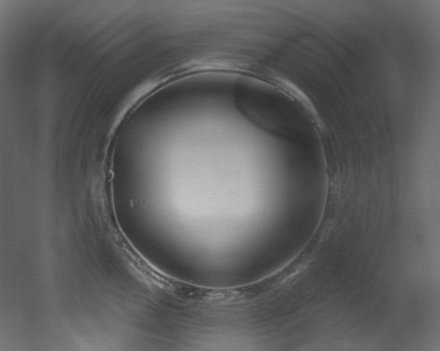 X0000051921146200506241502