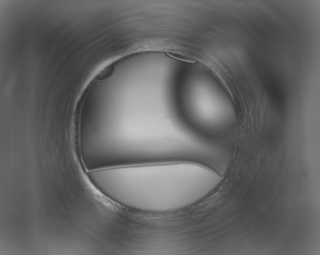 X0000051921147200506241502