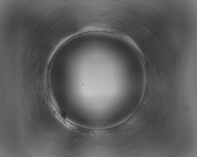X0000051921148200506241502