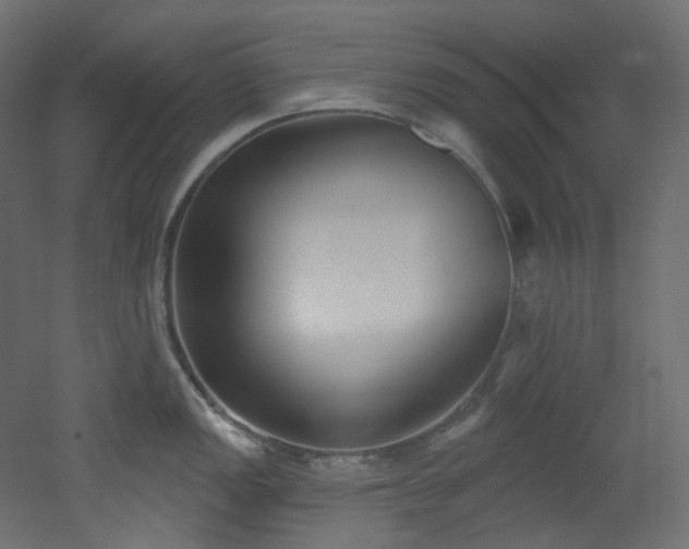 X0000051921149200506241502