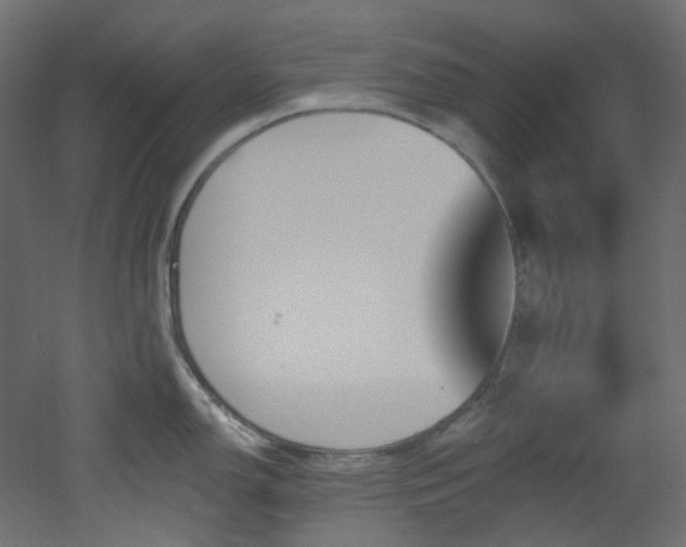 X0000051921150200506241502