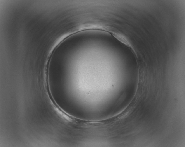 X0000051921151200506241502