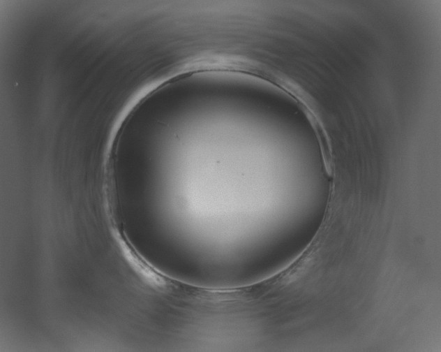 X0000051921152200506241502