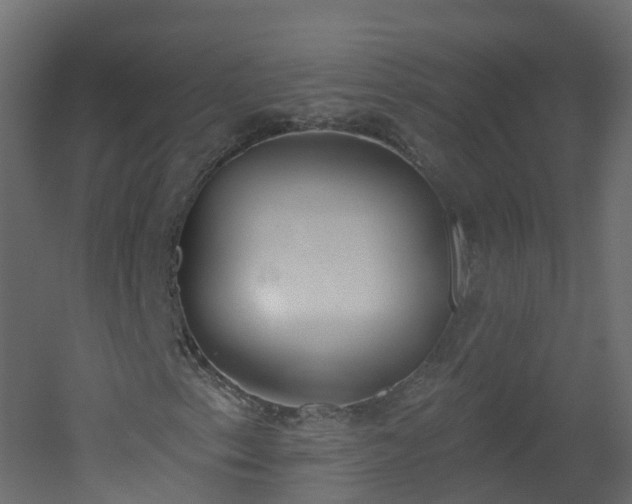 X0000051921153200506241501