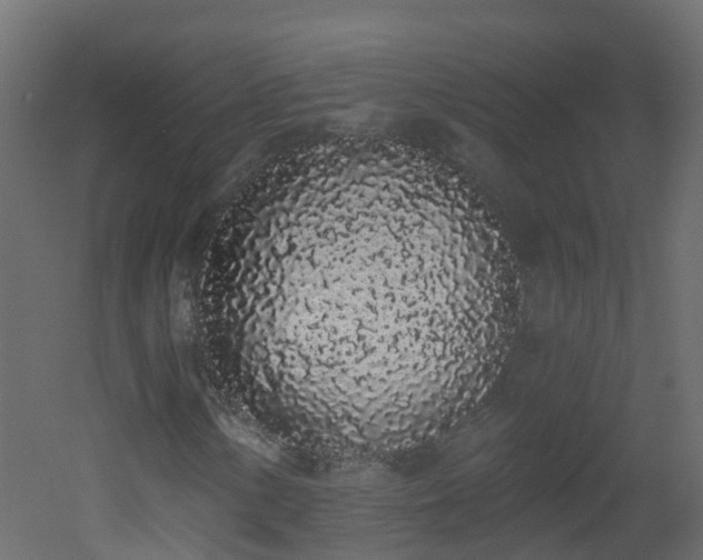 X0000051921154200506241501
