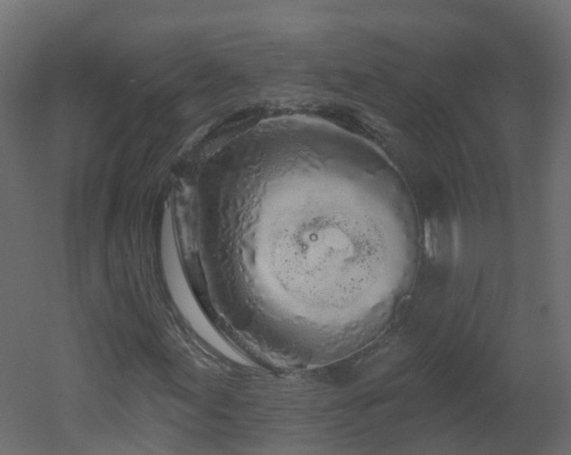 X0000051921155200506241501