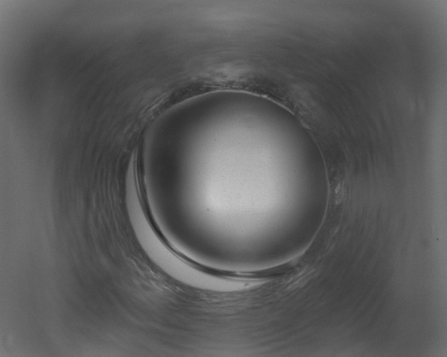 X0000051921156200506241501