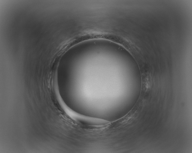 X0000051921157200506241501