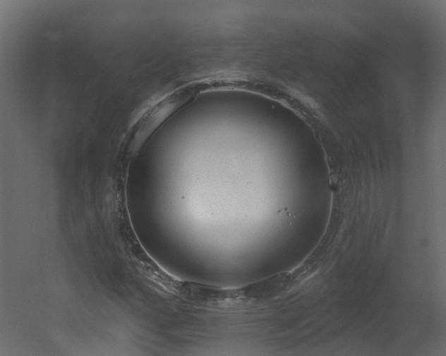 X0000051921160200506241501