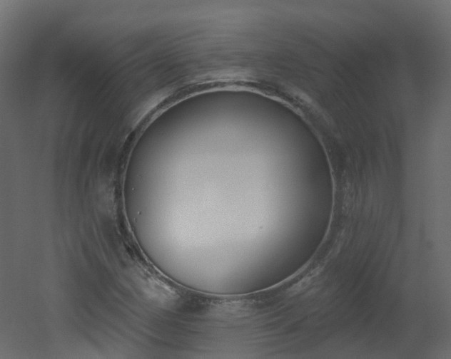 X0000051921162200506241501