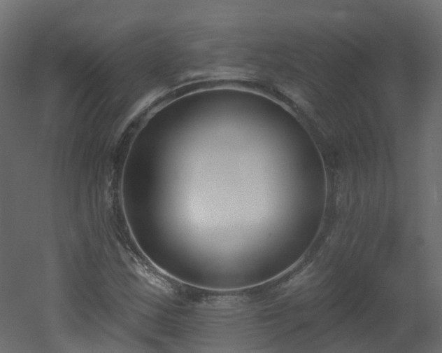 X0000051921163200506241501
