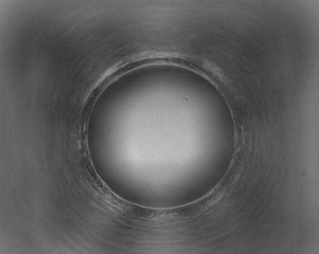 X0000051921165200506241501