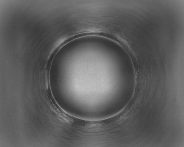 X0000051921171200506241501