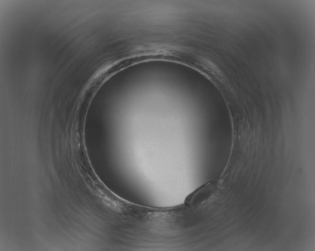 X0000051921172200506241501