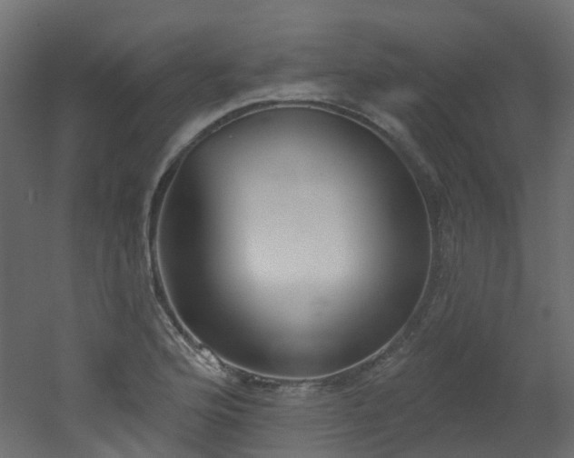 X0000051921176200506241501