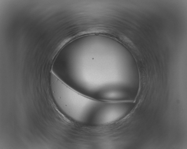 X0000051921177200506241501