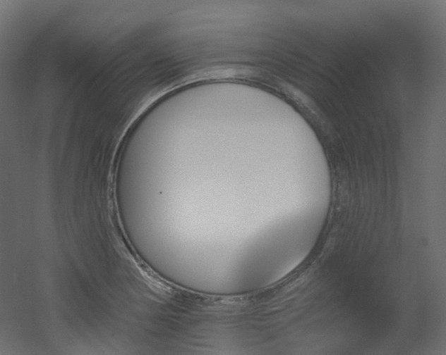 X0000051921178200506241501