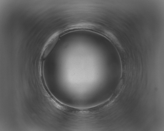 X0000051921180200506241501