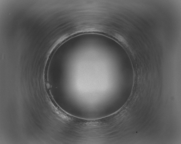 X0000051921181200506241501