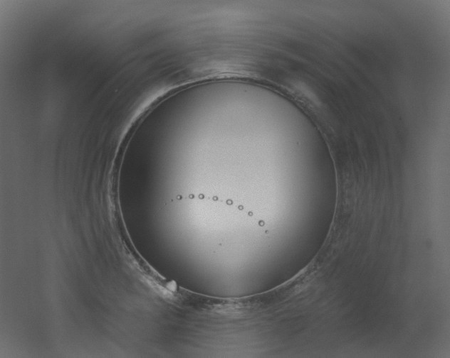 X0000051921182200506241501