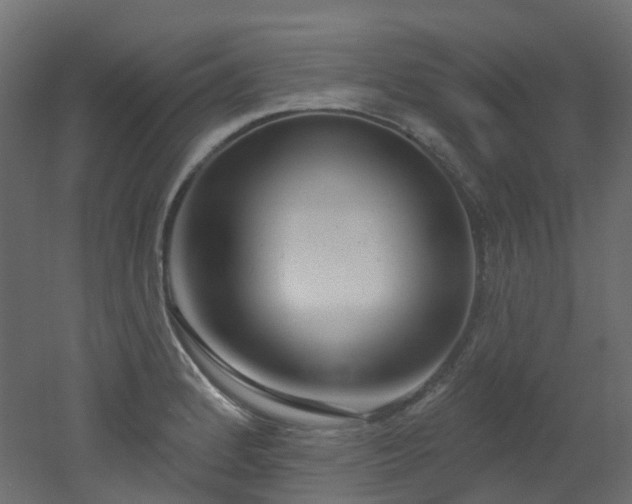 X0000051921184200506241501