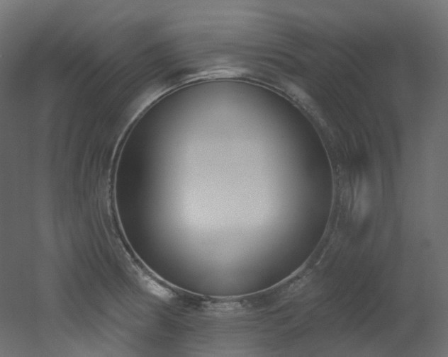 X0000051921186200506241501