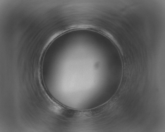 X0000051921187200506241501