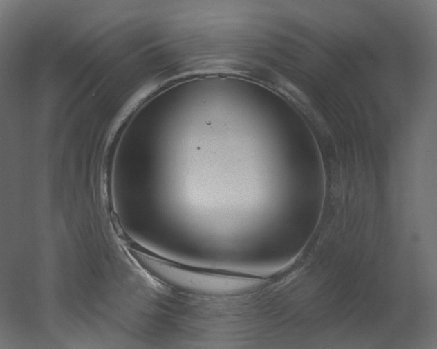X0000051921188200506241501