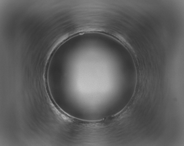 X0000051921189200506241501
