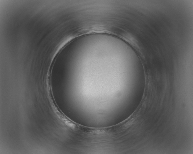 X0000051921190200506241501