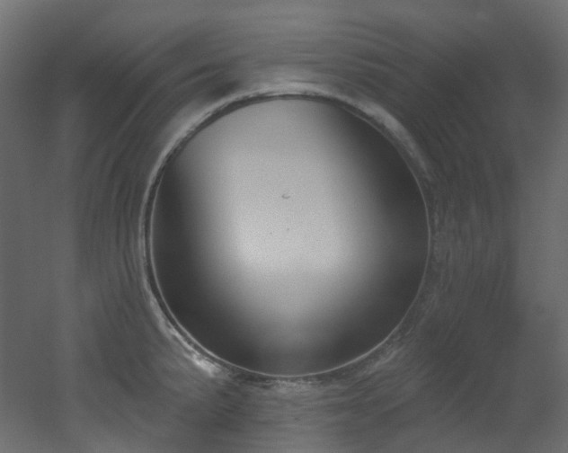 X0000051921191200506241501