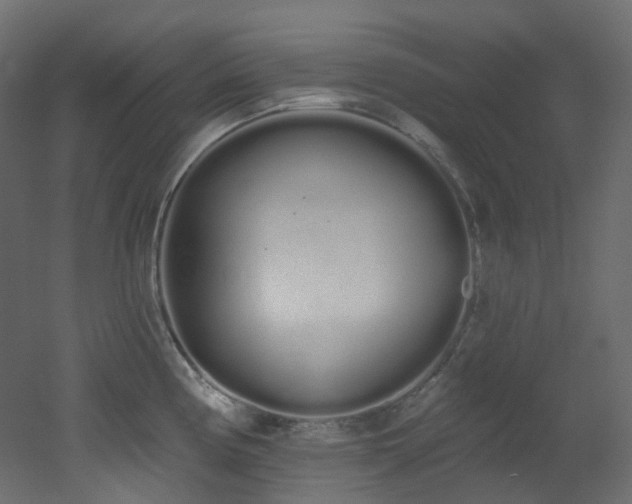 X0000051921194200506241501