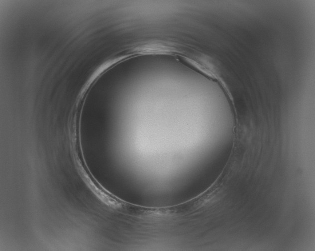 X0000051921195200506241501