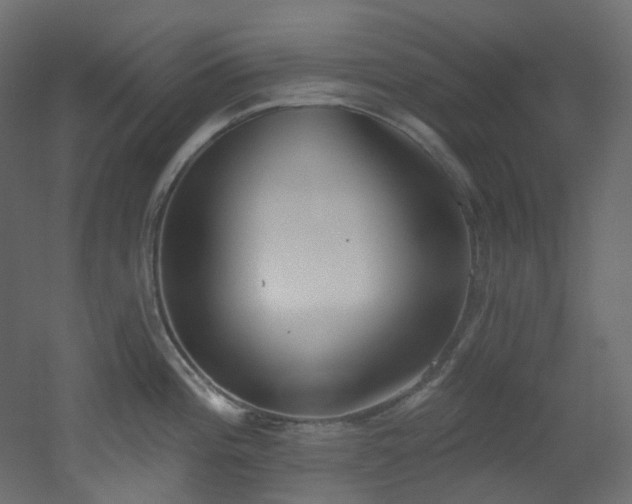 X0000051921196200506241501