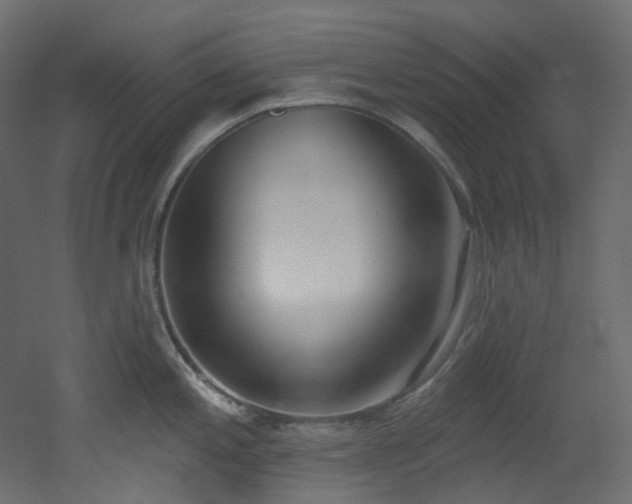 X0000051921197200506241501