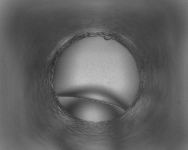 X0000051921207200506241500
