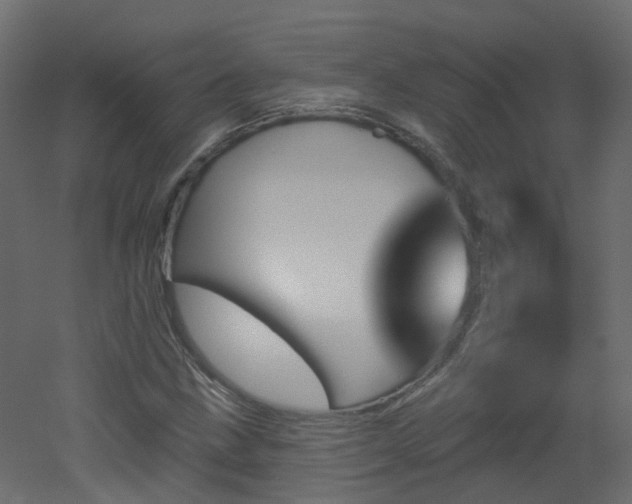 X0000051921211200506241500